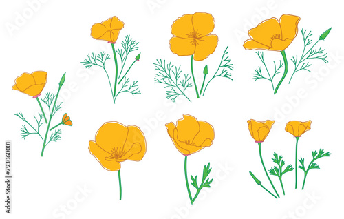 Obraz na płótnie silhouettes of Eschscholzia flowers. California poppy - vector set of golden poppy w salonie
