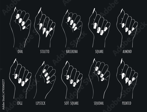 nail shape manicure vector outline on black background. brushes of female hands with different shapes of nails for manicure vector line graphics. wrist hand shape nails vector sketch set