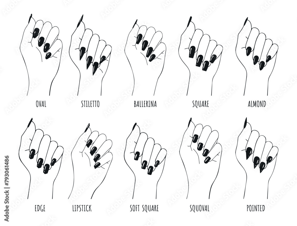 types of nails manicure vector sketch. collection of nail shapes vector