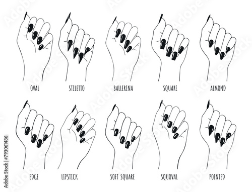 types of nails manicure vector sketch. collection of nail shapes vector drawing. female wrist with black nails vector sketches for nail shapes