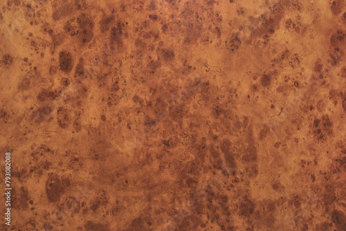 Wooden burl texture, amboyna wooden burl texture photo