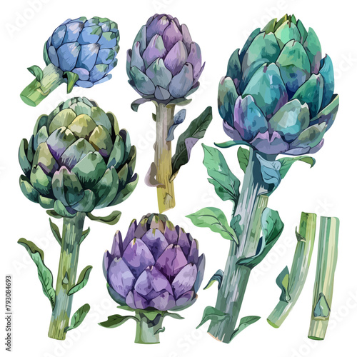 Watercolor Illustration vector of  artichoke set collection, isolated on a white background, design art, clipart image, Graphic logo, drawing clipart, artichoke vector, Illustration painting.