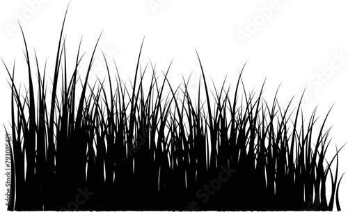 Grass silhouette seamless pattern. Green grass meadow border vector pattern. Spring summer plant field lawn. Nature lush landscape background Horizontal black contour isolated on white.
