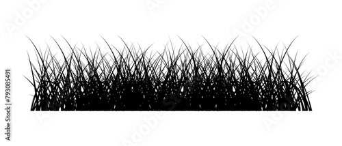 Grass silhouette seamless pattern. Green grass meadow border vector pattern. Spring summer plant field lawn. Nature lush landscape background Horizontal black contour isolated on white.