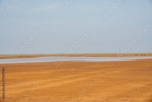 beautiful landscapes of the blooming Kalmyk steppe on a spring day photo