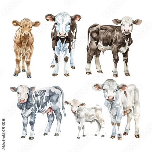 Watercolor Vector painting of set calf (cow), isolated on a white background, calf vector, calf clipart, calf art, calf painting, calf Graphic, drawing clipart.