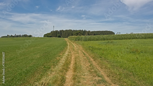  Dirtroad between meadows and corn fields in Ardennes, Wallonia, Belgium 