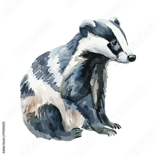 Watercolor painting of a badger, isolated on a white background, badger vector, drawing clipart, Illustration Vector, Graphic Painting, design art, logo
