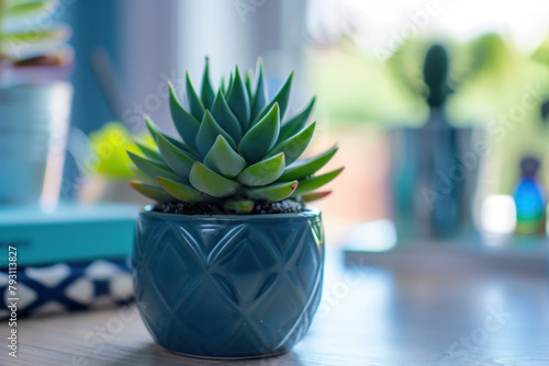 Small Succulent in Blue Pot on Table photo