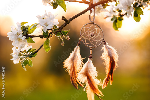 Dreamcatcher hanging on blooming tree in wind at springtime. Spirituality and ritual ornament for good dreaming © encierro