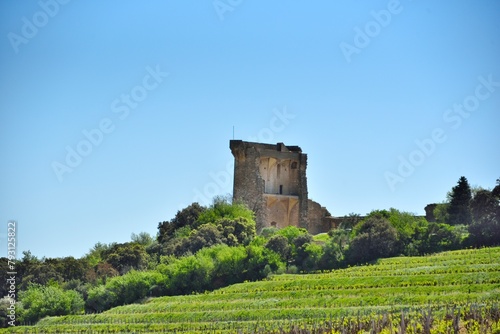 Le vieux Câteau des Papes à Chateauneuf-du-Pape (Vaucluse)