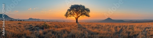 A peaceful valley at sunset, a solitary tree silhouetted against the evening sky.