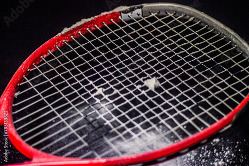 strings of a tennis racket against a background of white powder close-up © Vladimir Bartel
