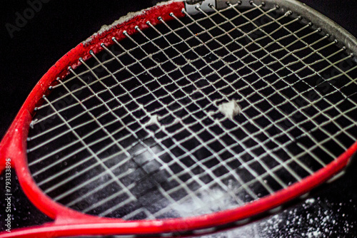 Nylon strings of a tennis racket against a background of white powder close-up © Vladimir Bartel