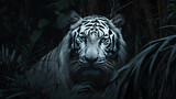 white bengal tiger standing on the ground, surrounded by dark green vegetation, predator wildlife endangered animal
