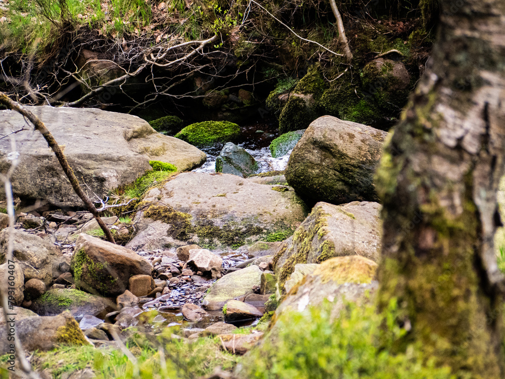 View of water running down small rocky stream, Autumn creek woods with and rocks in forest mountain. View of water running down small rocky stream, Autumn creek woods with and rocks in forest mountain.
