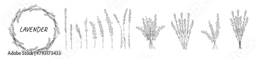 Set with lavender hand-drawn