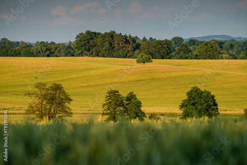 Krajobraz rolniczy z widokiem na górki photo