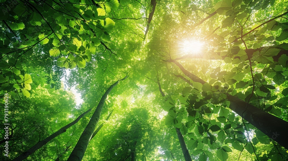 A forest canopy bursting with vibrant green leaves creating a refreshing and calming backdrop for a restful slumber. 2d flat cartoon. A forest canopy bursting with vibrant green leaves creating a refreshing and calming backdrop for a restful slumber. 2d flat cartoon.