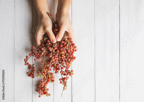 A bouquet of twigs with red sea buckthorn berries, silver Shepherdia (lat. Shepherdia argentea) in female hands on a white painted wooden surface close-up, copy space. Alternative medicine photo