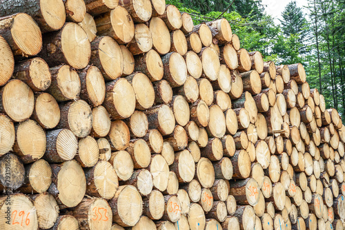 A big pile of logs.