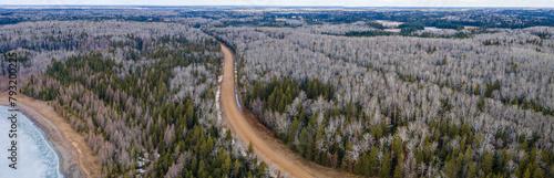Panoramic aerial view of a dirt road winding through a vast forest. The deciduous trees do not have any leaves. 