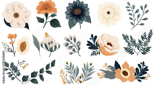 A botanical illustration set of various flowers and leaves in a modern, stylized form, expressing artistic charm photo