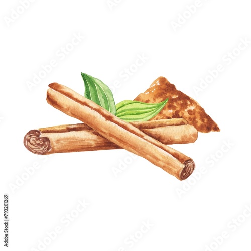 Two cinnamon sticks with green leaves food watercolour composition. © Ann Lou