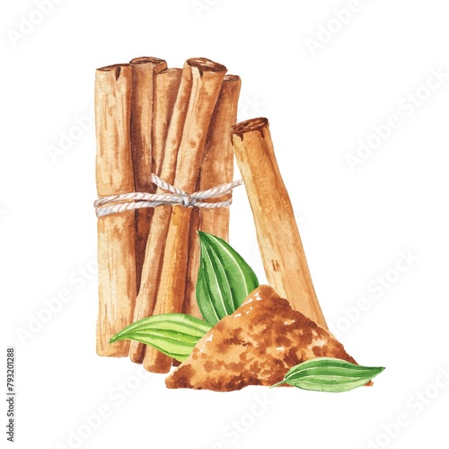 Cinnamon sticks with green leaves watercolour illustration  © Ann Lou