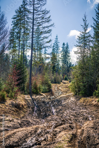 off-road, swamp on the road
 photo