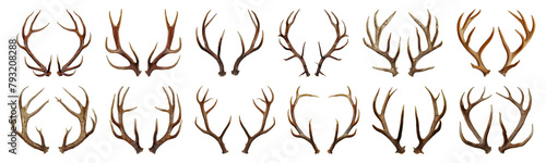 Assorted pairs of antlers isolated cut out png on transparent background photo