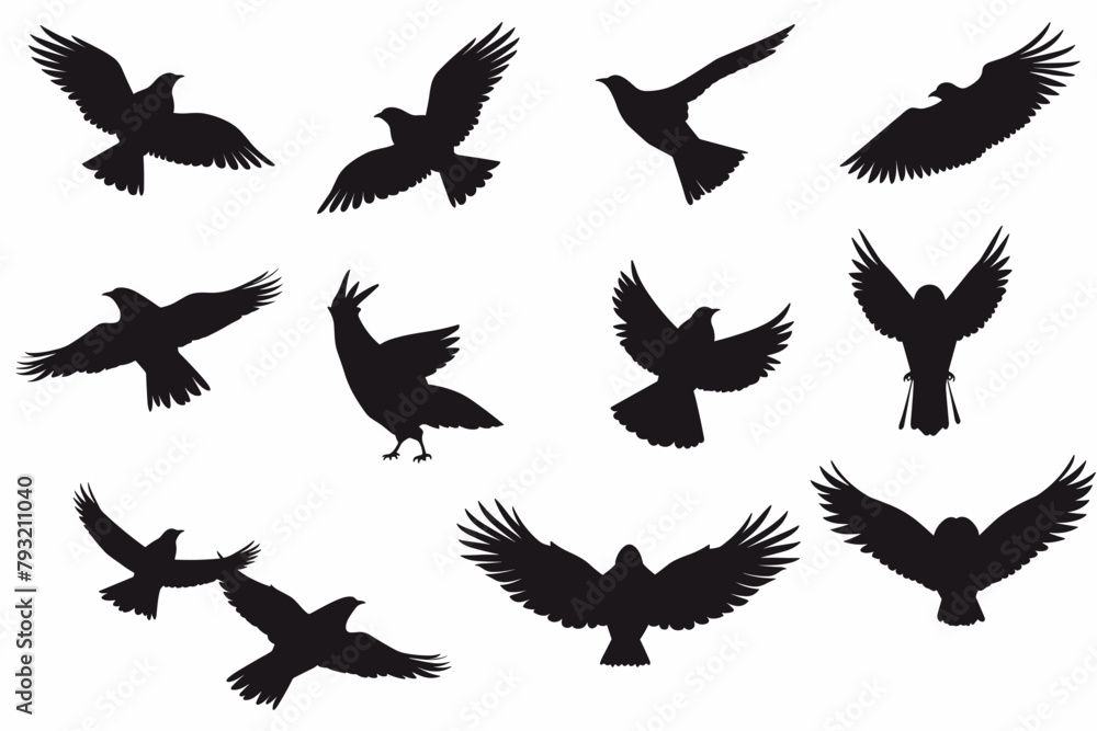 Vector Set Collection of Bird Silhouettes