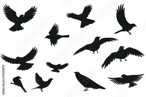 Vector Set Collection of Bird Silhouettes