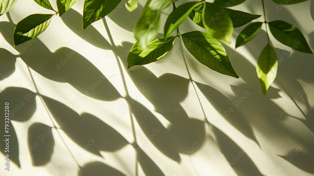 Bright background with green leaves and shadow of plants