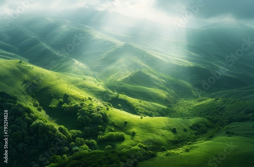  A lush, green hillside teems with numerous trees beneath a cloud-studded sky, where sunbeams pierce the clouds