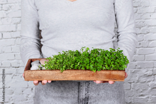 White wall backdrop, a woman demonstrates her hobby, holding a box of microgreens.