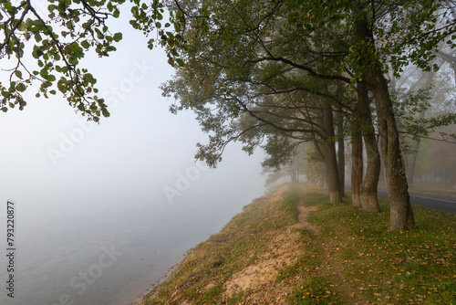 The picturesque shore of Lake Naroch on a foggy morning summer day, Belarus. photo