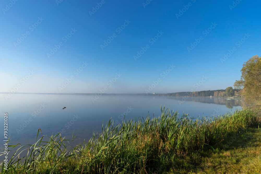 The picturesque shore of Lake Naroch on a foggy morning summer day, Belarus.