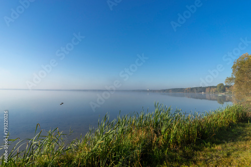 The picturesque shore of Lake Naroch on a foggy morning summer day, Belarus. © Valmond