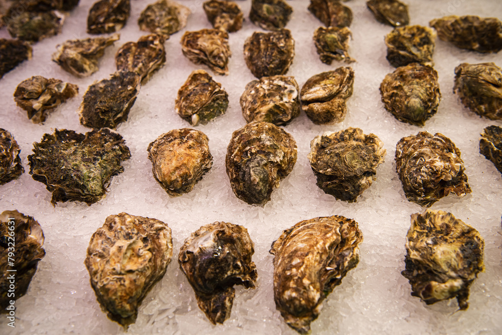 Close up. Spanish bazaar. Fresh oysters on ice. Close up. Spanish bazaar. Fresh oysters on ice.
