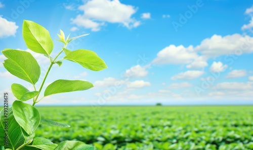 High detailed macro photo o...