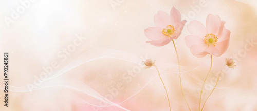 Tapeta, wzór w kwiaty, różowy zawilec, puste miejsce na tekst, kartka na życzenia 
