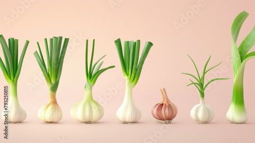 an infographic that highlights Sweet Garleek s unique nutritional benefits  comparing it to traditional garlic and leeks