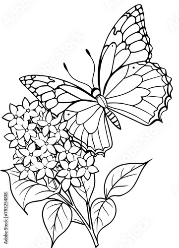 coloring page for children butterfly over flower © Joanna Redesiuk