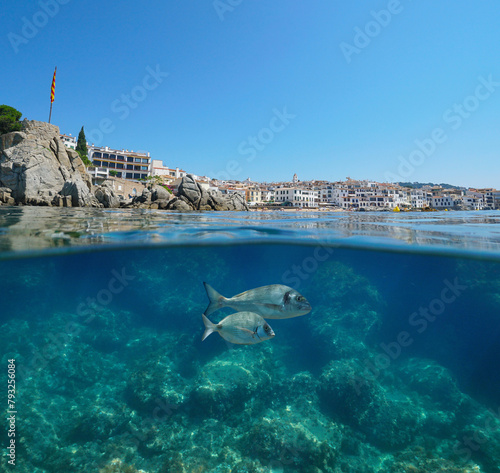Seaside town Calella de Palafrugell on the Mediterranean coast in Spain seen from sea surface with fish underwater, natural scene, split view half over and under water, Costa brava