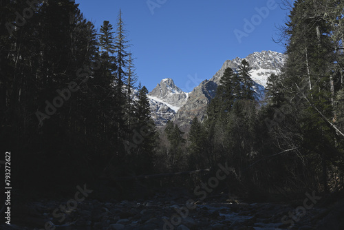 
Mighty ice mountains in a virgin coniferous forest