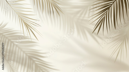 A neutral-colored background with shadows from palm fronds.