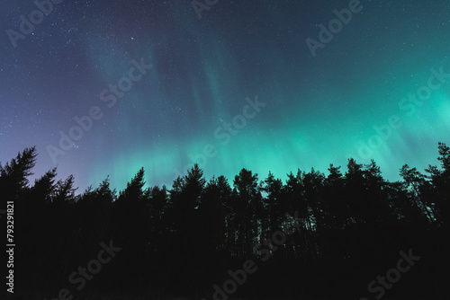 Northern lights over the forest, night scene of Estonian nature.