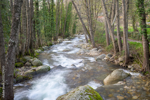 Fast flowing riverbank and trees on the shore forming a natural horizontal tunnel