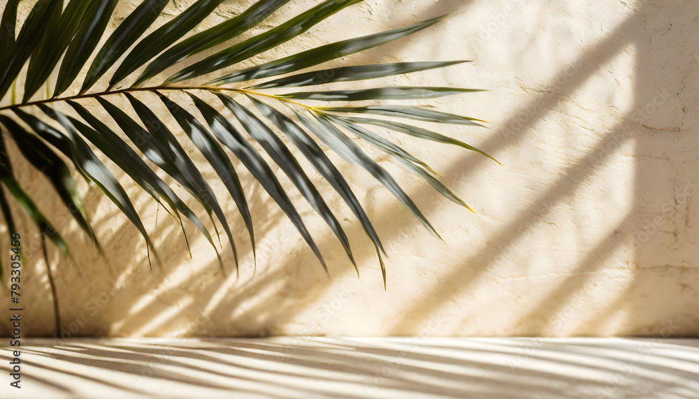 Fototapeta premium Dancing Shadows: A Palm Leafs Gentle Embrace. Generative AI